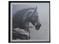 Equine Pride Aluminium Framed Wall Art