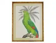 LivingStyles Chavez Bamboo Framed Wall Art Print, King Parrot, 120cm offer