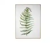LivingStyles Kason Framed Canvas Wall Art Print, Fern Leaf, 120cm offer