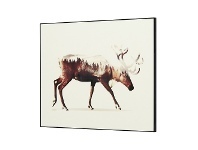 LivingStyles Wilden Framed Wall Art Print, Moose In Motion, 80cm offer