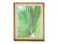 LivingStyles Chavez Bamboo Framed Wall Art Print, Fan Palm Leaf #1, 74cm offer
