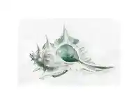 LivingStyles "Ink Conch" Stretched Canvas Wall Art, 120cm, Seafoam offer