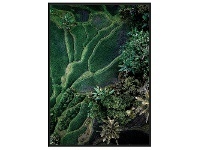 "Aerial Rice Field" Framed Wall Art Print, No.1, 120cm
