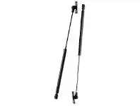 Repco Repco Hatch & Bonnet Struts offer