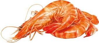 Woolworths Thawed Medium Cooked Australian Tiger Prawns offer
