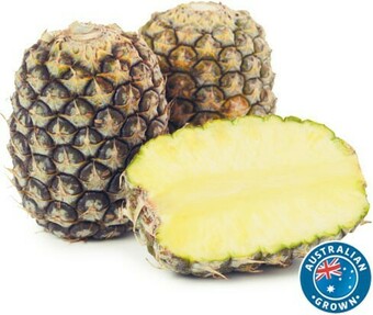 Australian Sweet Topless Pineapple