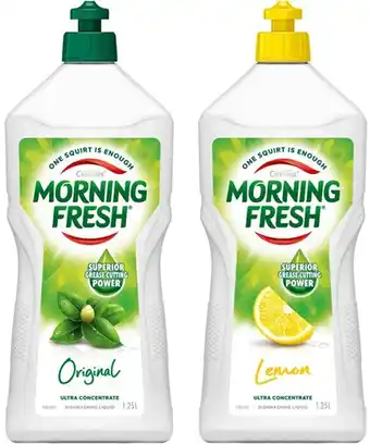 BIG W Morning Fresh Dishwashing Liquid 1.25-Litre offer