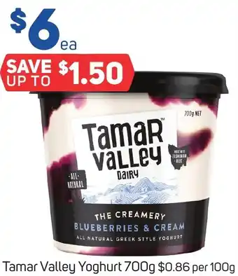 Foodland Tamar Valley Yoghurt 700g offer