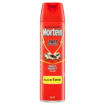 Mortein Fast Knockdown Insect Spray Multi Insect Killer 300g