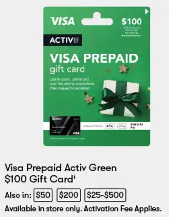 Visa Prepaid Gift Card