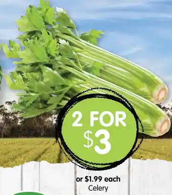 Spudshed Celery offer