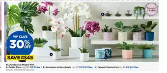 Spotlight All Greenery & Planter Pots - Orchid 53cm offer