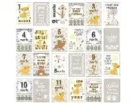 Baby Bunting Disney Lion King Milestone Cards offer