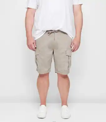 Target Plus Cargo Shorts offer