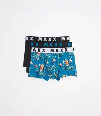 Maxx 3 Pack Microfibre Trunks