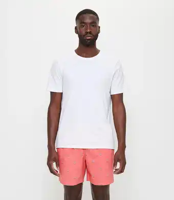 Target Swim Shorts offer