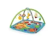 Bright Starts Activity Gym Zippy Zoo