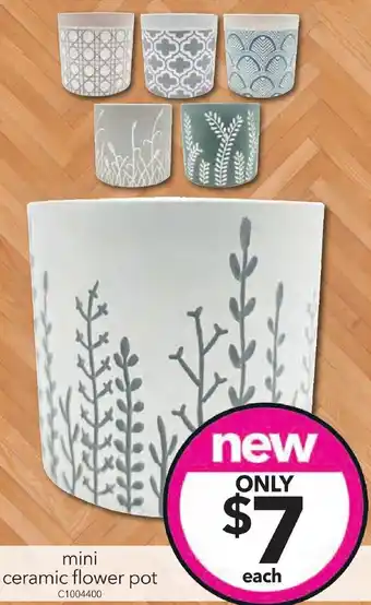 Cheap as Chips mini ceramic flower pot offer