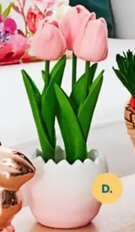 Tulip In Egg Pot