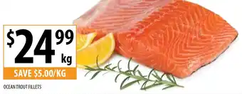 OCEAN TROUT FILLETS