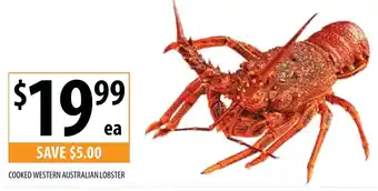 Supabarn COOKED WESTERN AUSTRALIAN LOBSTER offer