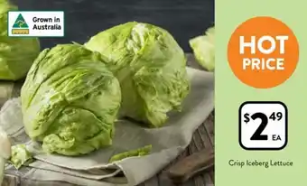 Foodworks Crisp Iceberg Lettuce offer