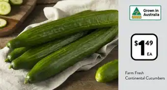 Foodworks Farm Fresh Continental Cucumbers offer