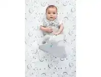Baby Bunting Love To Dream Swaddle Up Designer Transition Bag Warm 2.5 Tog Dinocorn Medium offer