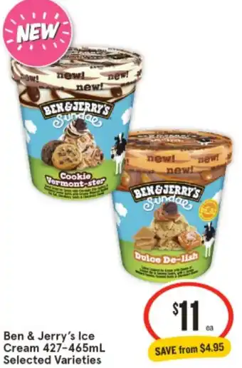 Ben & Jerry's Ice Cream 427-465mL