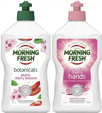 Coles Morning Fresh Dishwashing Liquid 350mL offer