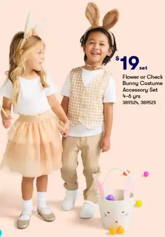 BIG W Flower or Check Bunny Costume Accessory Set 4-6 yrs offer