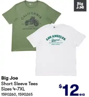 BIG W Big Joe Short Sleeve Tees Sizes 4-7XL offer