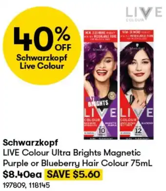 BIG W Schwarzkopf LIVE Colour Ultra Brights Magnetic Purple or Blueberry Hair Colour 75mL offer