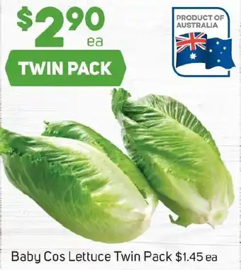 Baby Cos Lettuce Twin Pack