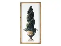 LivingStyles Shanna Framed Wall Art Print, Spiral Topiary, 80cm offer