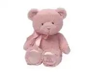 Baby Bunting Baby Gund My First Teddy 25cm Pink offer