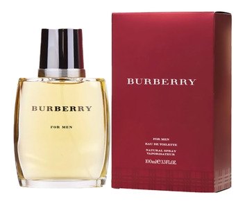 Direct Chemist Outlet Burberry for men edt 100ml offer