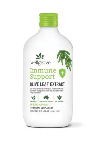 Direct Chemist Outlet Wellgrove immune support natural 500ml offer