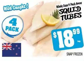 Windy Cape 4 Pack Arrow SQUID TUBES