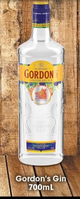 Ritchies Gordon's Gin 700ml offer