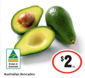 IGA Autralian Avocados offer