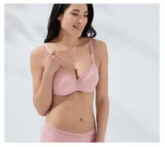 Harris Scarfe Sash & rose 3pk micro lace bikini brief offer