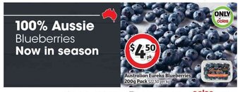 Coles Australian Eureka Blueberries 200g Pack offer
