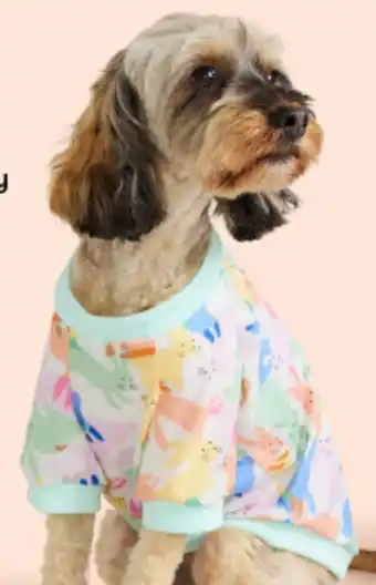 BIG W Tails Easter Dog T-shirt Bunny 40cm offer