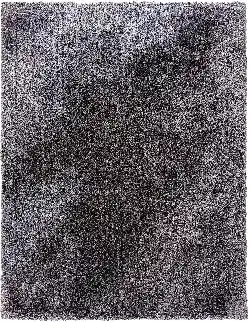 Spotlight Emerald Hill Noah Shaggy Rugs offer