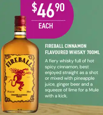 Dan Murphy's FIREBALL CINNAMON FLAVOURED WHISKY 700ML offer
