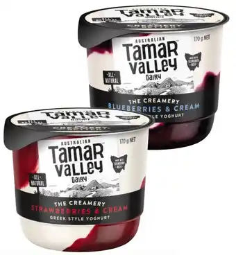 Coles Tamar Valley Dairy The Creamery Greek Style Yoghurt 170g offer