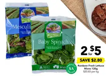 Drakes Rainbow Fresh Lettuce Mixes 120g offer