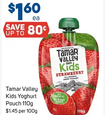 Foodland Tamar Valley Kids Yoghurt Pouch 110g offer