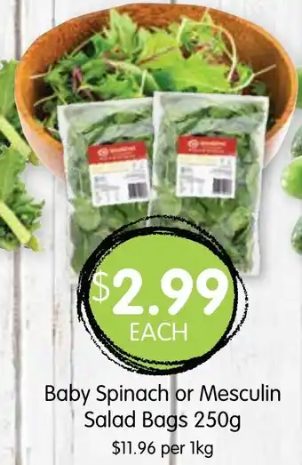 Spudshed Baby Spinach or Mesculin Salad Bags 250g offer